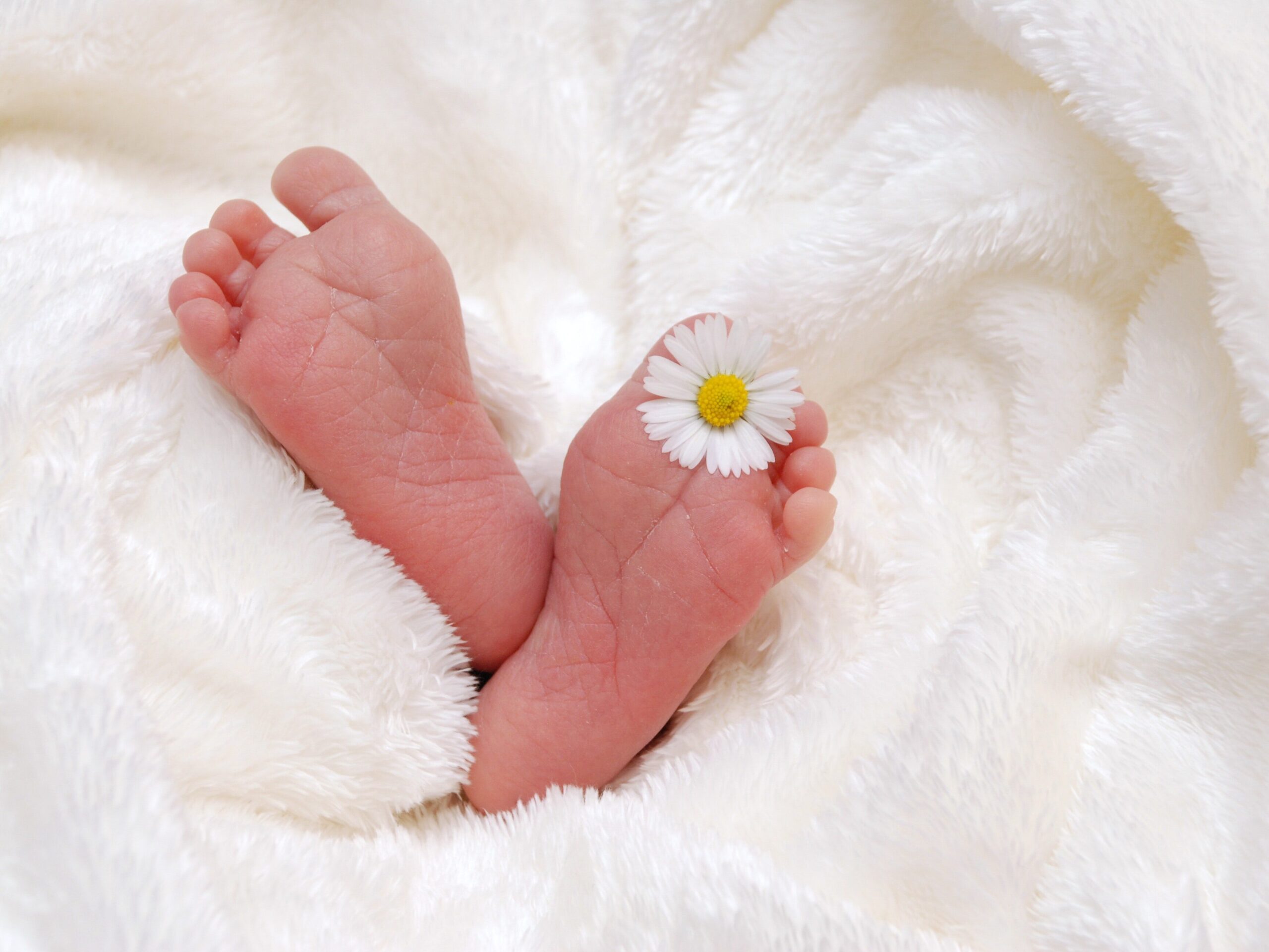 baby feet in soft white blanket with flower